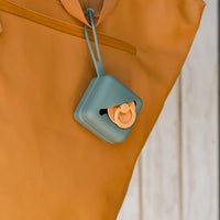 BIBS Dummies | Soft Dummy Case - Sage