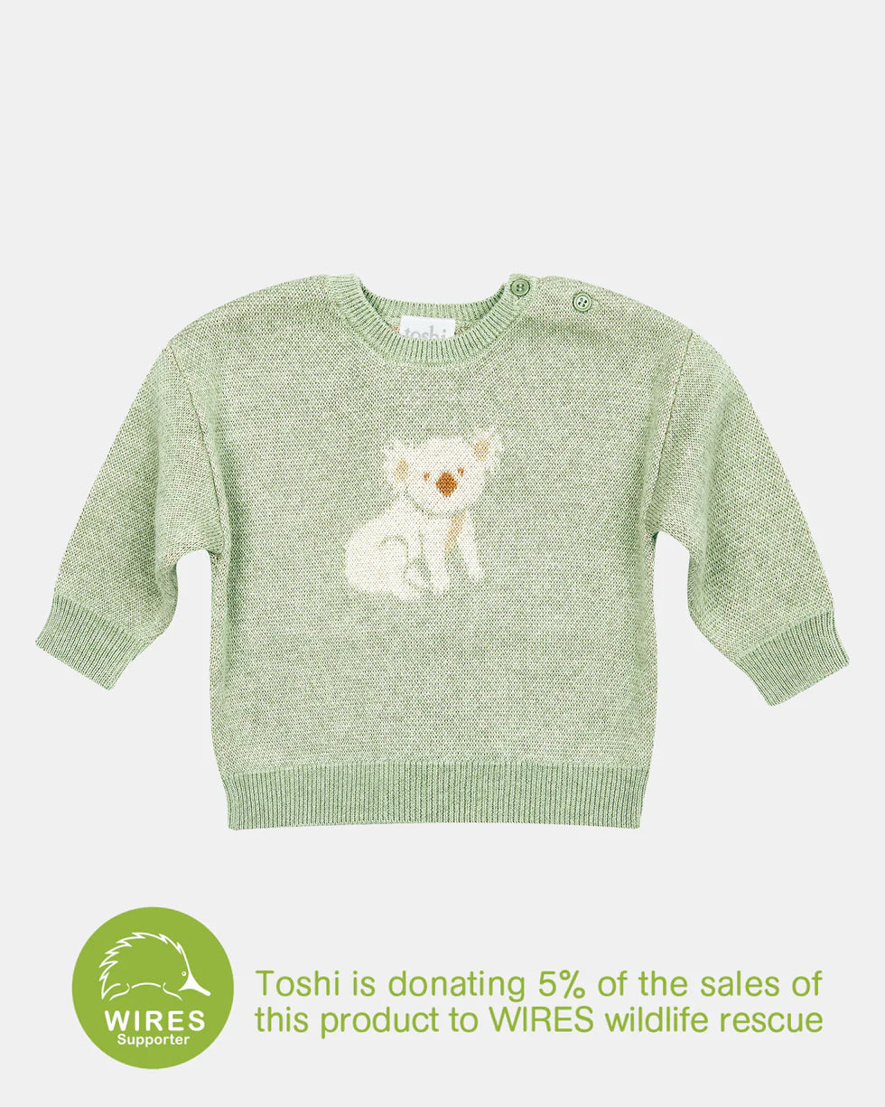 Toshi | Organic Pullover Koala