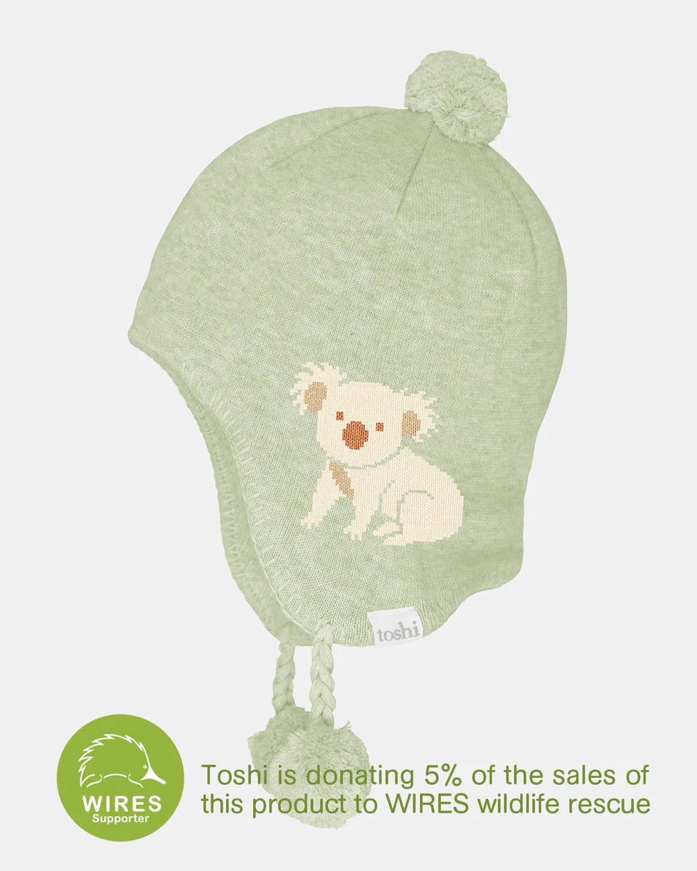 Organic Earmuff Storytime Beanie - Koala