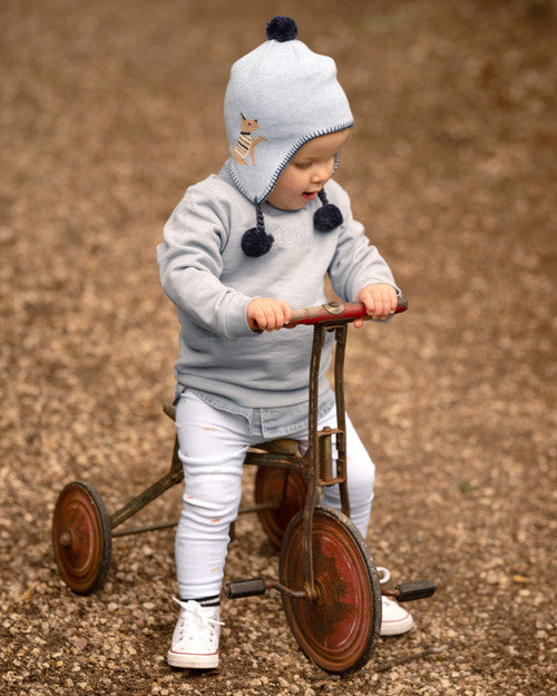 Toshi | Earmuff Storytime Lapdog