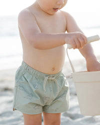 Quincy Mae |  Boys Swim Short - Dino