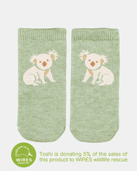Toshi | Organic Ankle Socks - Koala