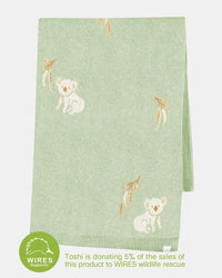 Toshi | Organic Blanket Storytime