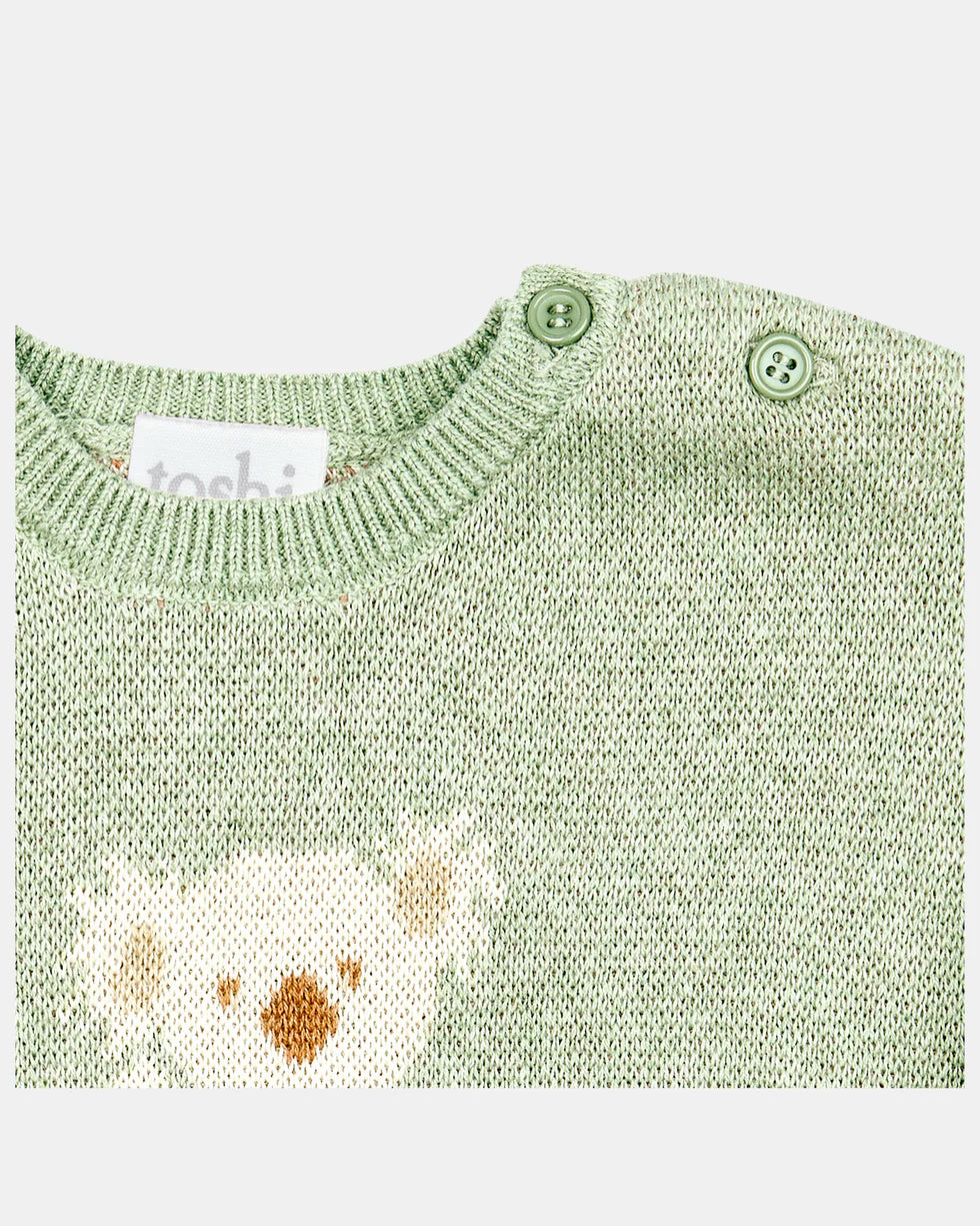 Toshi | Organic Pullover Koala