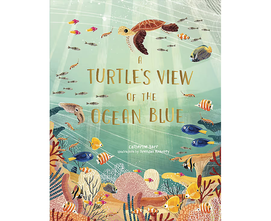 A Turtle's View of the Ocean Blue (Hardcover)