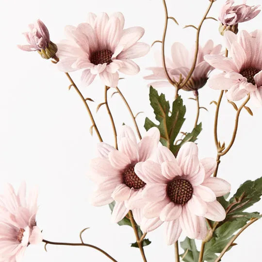 Daisy Spray - Dusty Pink