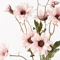 Daisy Spray - Dusty Pink
