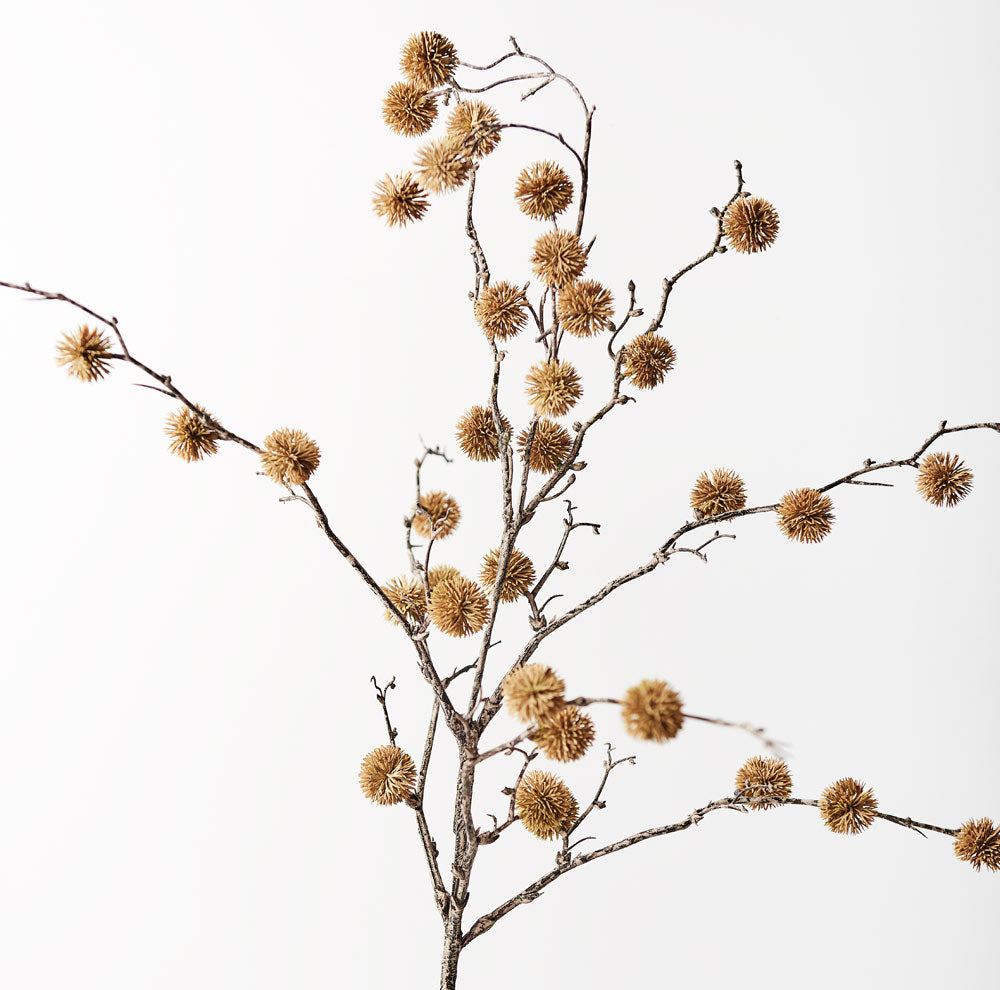 Sycamore Spray - Natural