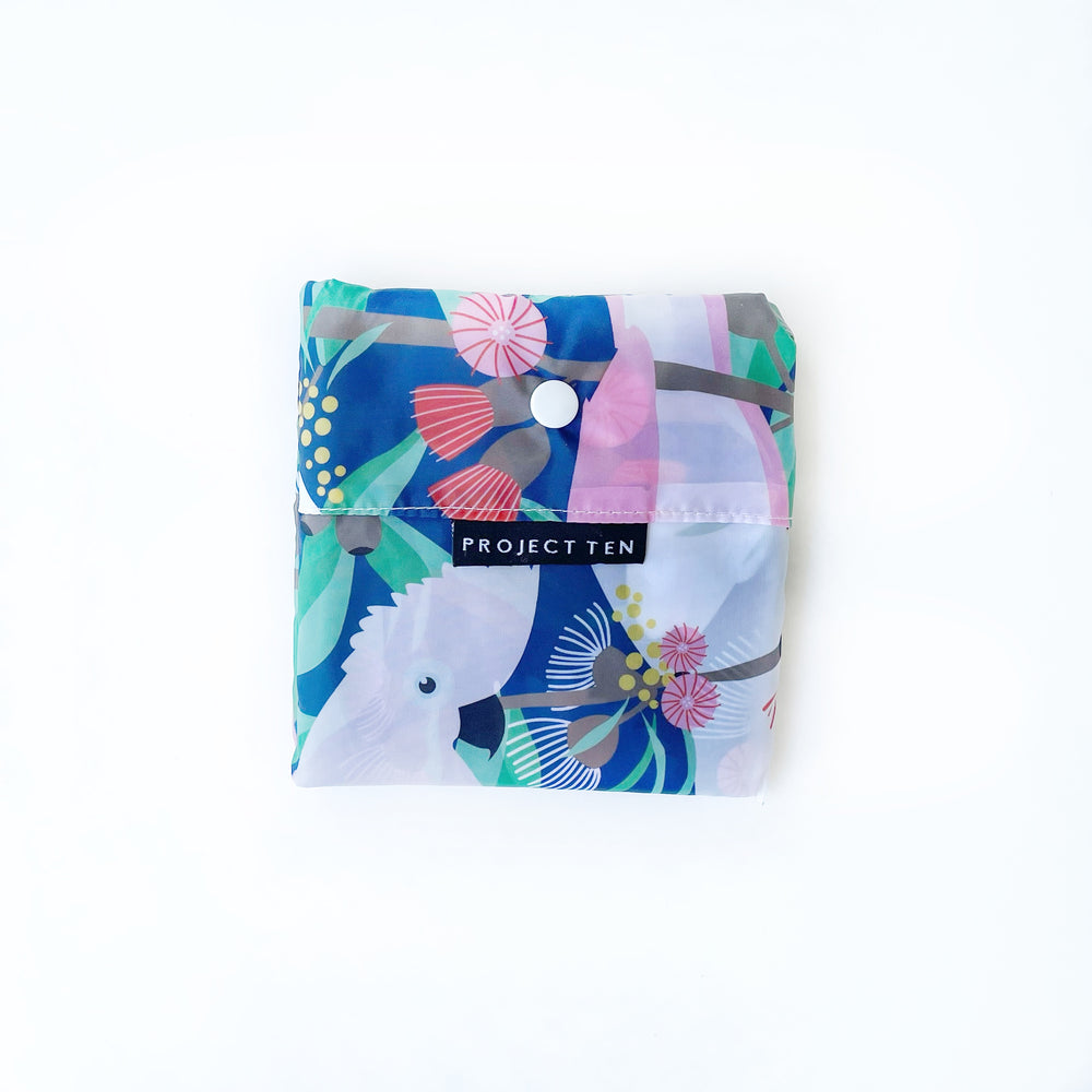 Project Ten | Pocket Shoppers