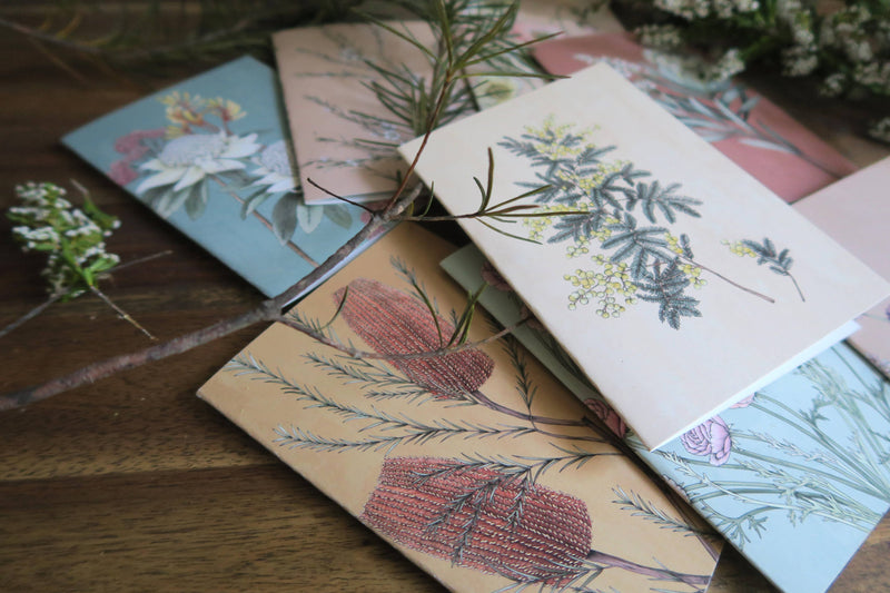 Typoflora | Banksia Portrait Card