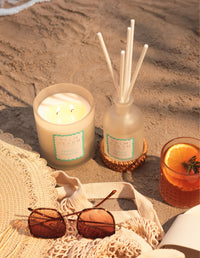 Palm Beach | Tropical Paradise