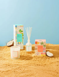 Palm Beach | Bronzed Coconut
