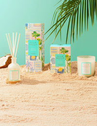Palm Beach | Tropical Paradise