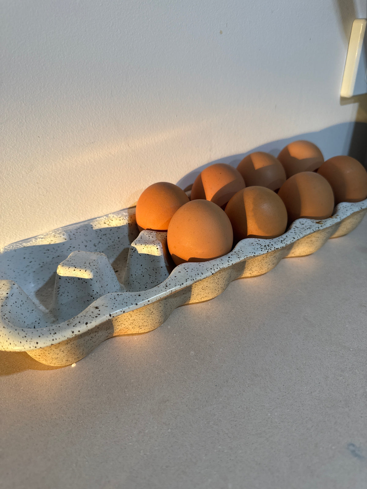 Robert Gordon | Egg Crate / Holds 12