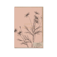 Typoflora - Daisy Birthday Card