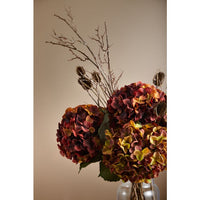 Hydrangea Red & Brown Branch Mix in Vase