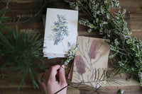 Typoflora | Banksia Portrait Card