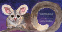 The Perfect Hollow: A Greater Glider Story (Hardcover)