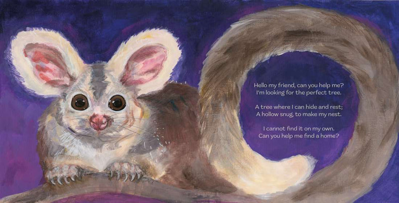 The Perfect Hollow: A Greater Glider Story (Hardcover)