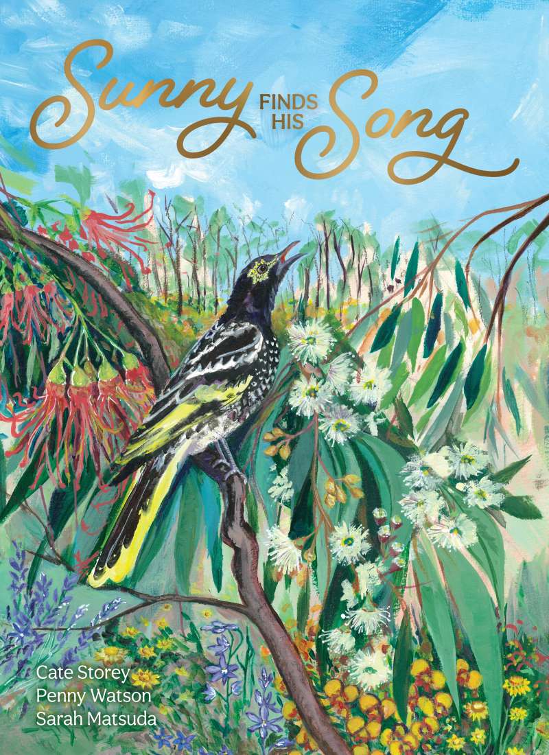 Sunny Finds His Song - Hardcover