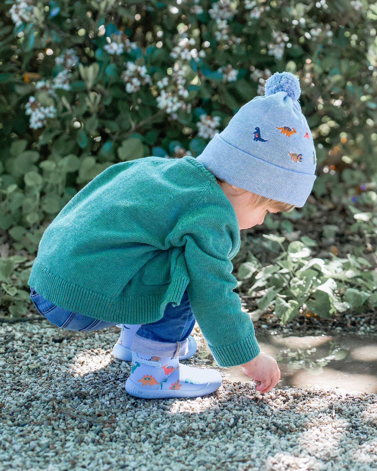 Toshi | Beanie - DINO BUBS