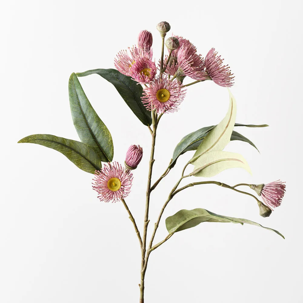 Eucalyptus Flowering Spray - Light Pink