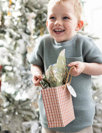 SMALL CHRISTMAS GIFT BAG - CHRISTMAS TARTAN