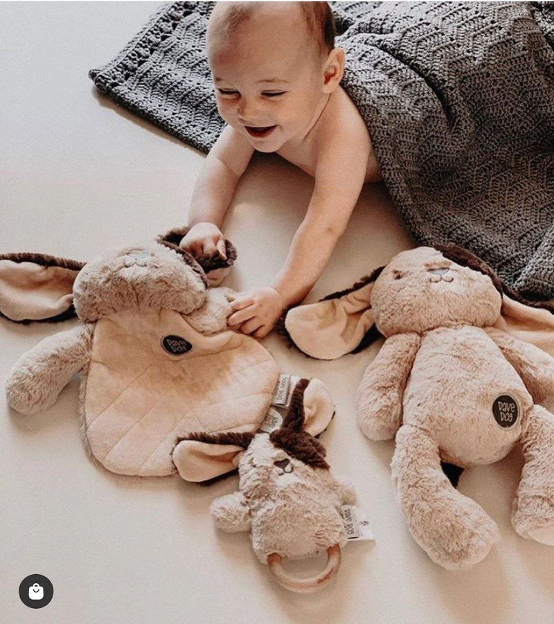 Dave Dog Baby Comforter Toy 30cm