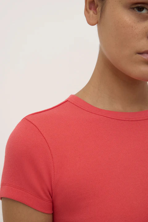 Assembly Label | Linley Rib Tee - Washed Chilli