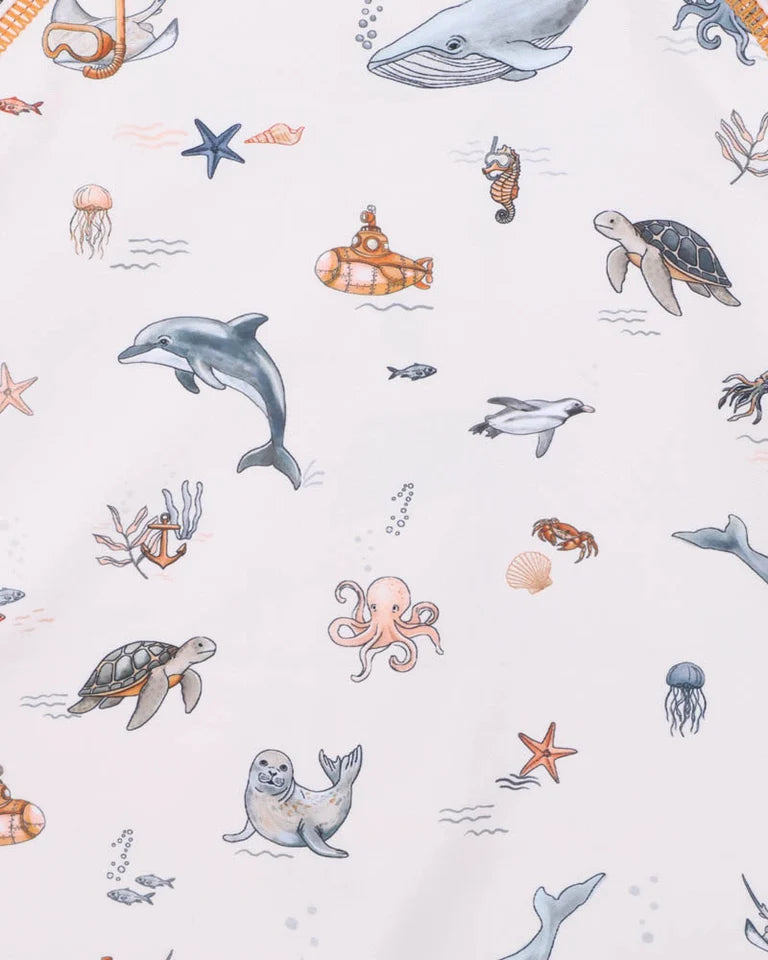Minihaha Swim | Harvey LS Rashie Suit