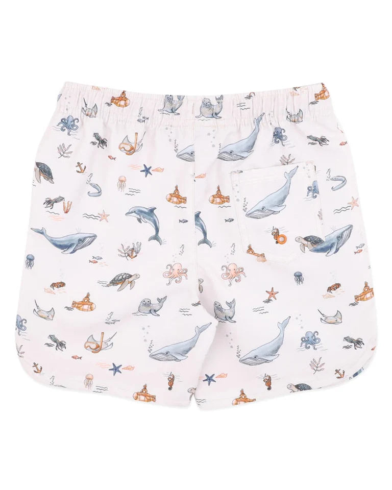 Minihaha Swim | Harvey Boardshorts
