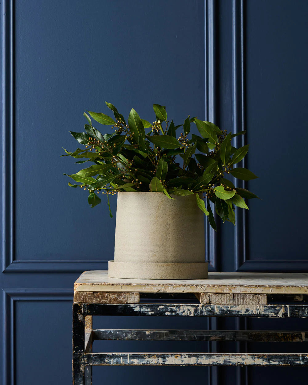 Robert Gordon | Garden To Table Planter with Tray