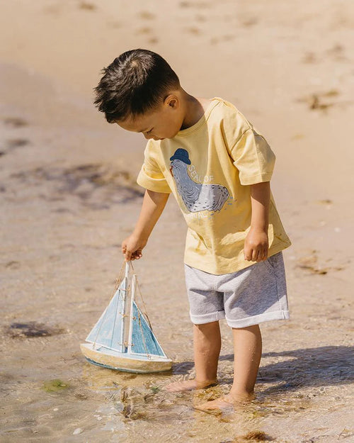 Bebe | Boys Grey Shorts