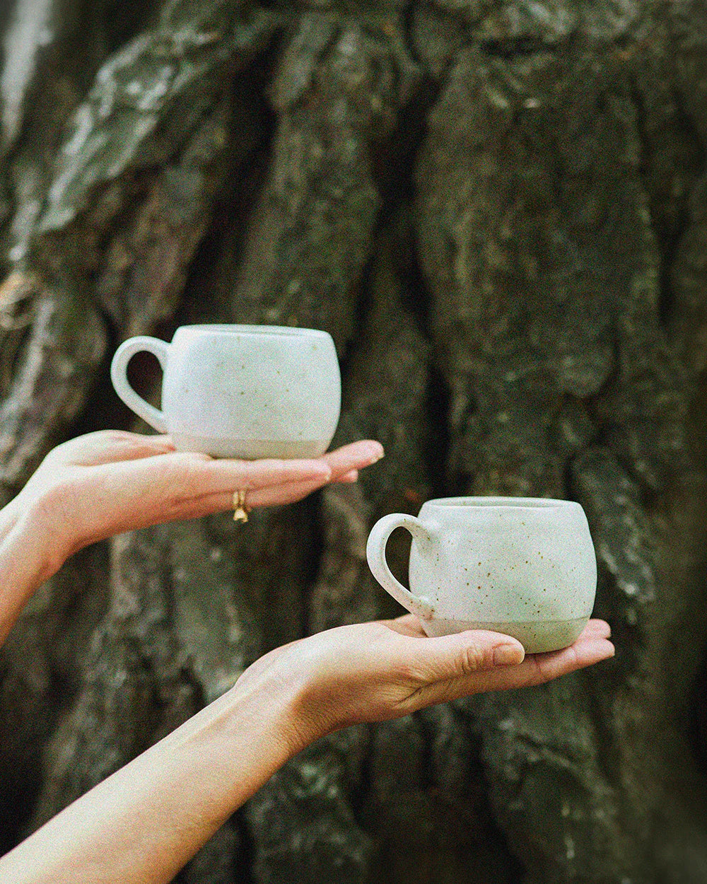 Robert Gordon | Salt / Mineral Mug