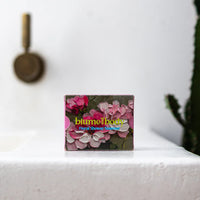 Blume & Body | Shower Steamers
