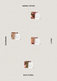 The Aromatherapy Co | Therapy Festive Collection Candle