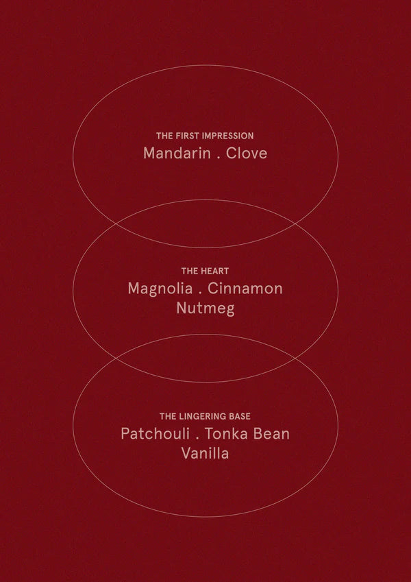 The Aromatherapy Co |  Therapy Festive Collection Diffuser