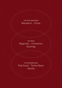 The Aromatherapy Co |  Therapy Festive Collection Diffuser