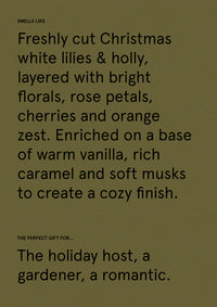 The Aromatherapy Co |  Therapy Festive Collection Diffuser