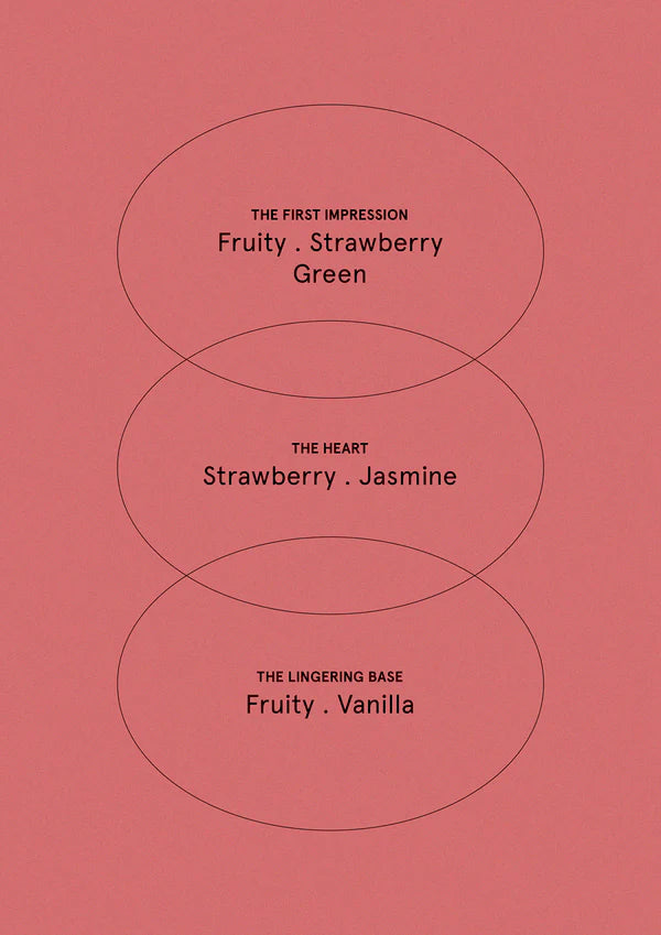 The Aromatherapy Co |  Therapy Festive Collection Hand Cream 50mL