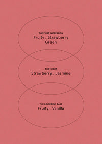 The Aromatherapy Co |  Therapy Festive Collection Hand Cream 50mL