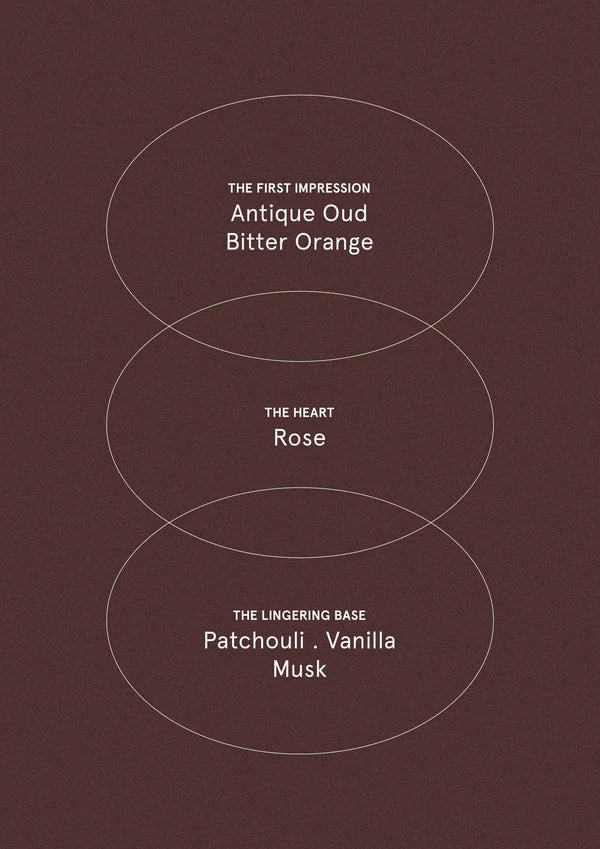 Smith & Co. | Black Oud & Saffron Limited Ed.