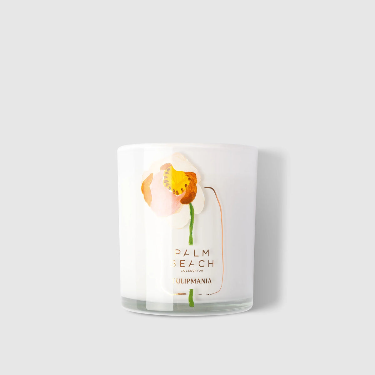 Palm Beach | Tulip Mania (Mother's Day Range)