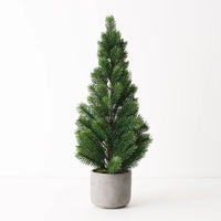Potted Tree - Virginia Fir  60cm