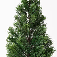 Potted Tree - Virginia Fir  60cm