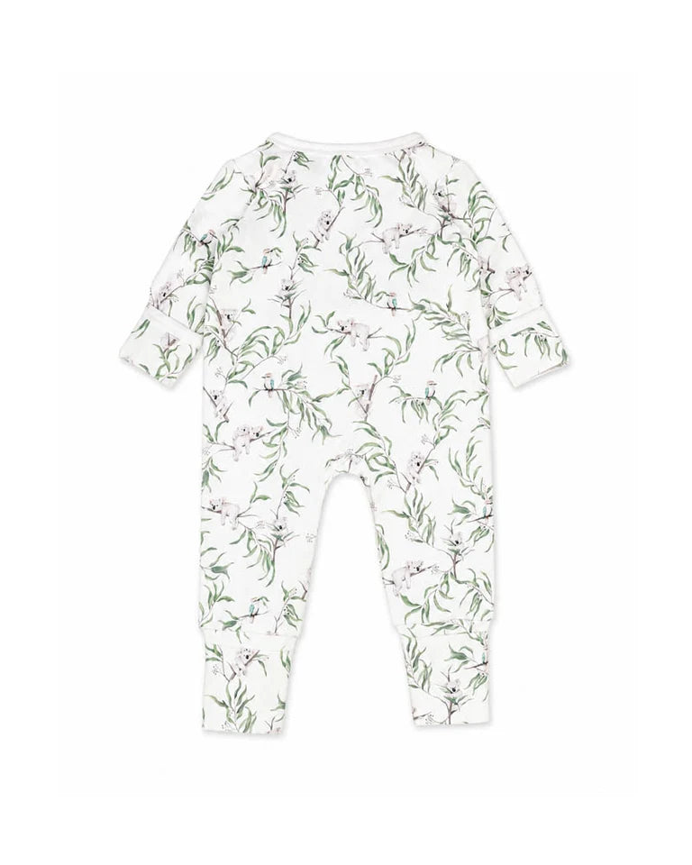 Bebe | Taylor Koalas Organic LS Zipsuit