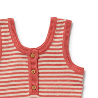 Wilson + Frenchy | Strawberry Swirl Organic Knitted Stripe Playsuit