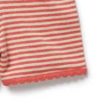 Wilson + Frenchy | Strawberry Swirl Organic Knitted Stripe Playsuit