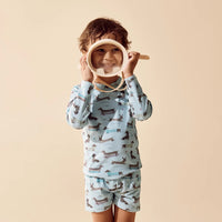 LITTLE BOY WITH BLUE SWIM SET WITH DACHSHUND DOGS ON IT