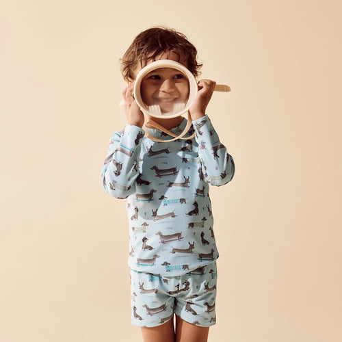 LITTLE BOY WITH BLUE SWIM SET WITH DACHSHUND DOGS ON IT